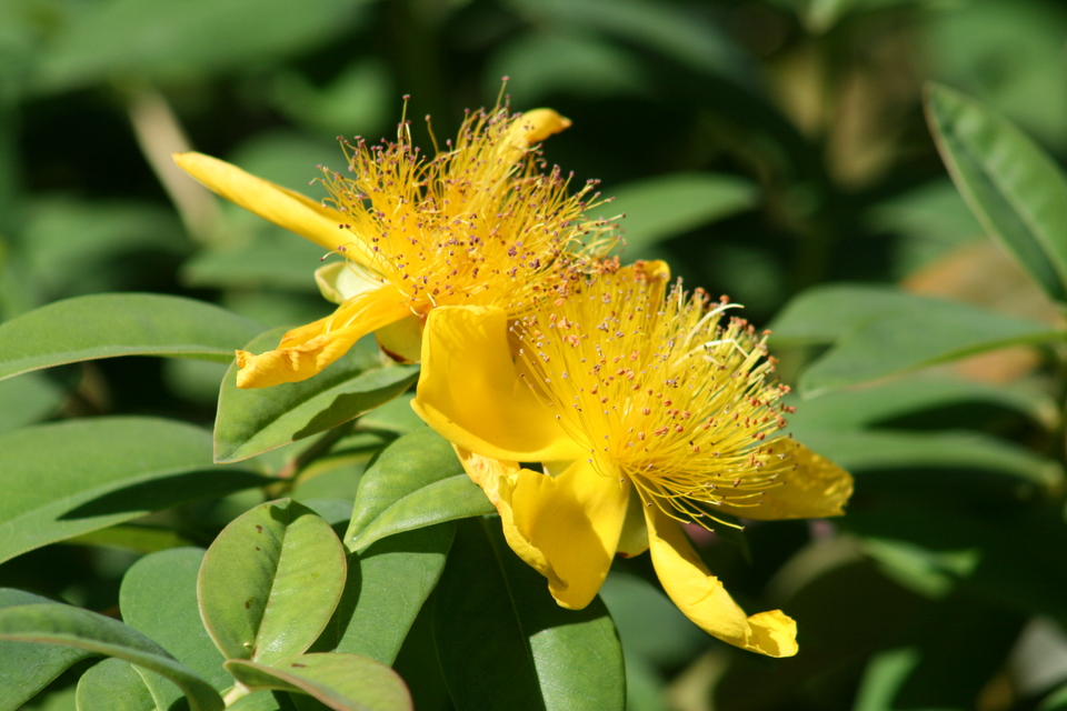 Madrid, Spain, Retiro Park, June 2023