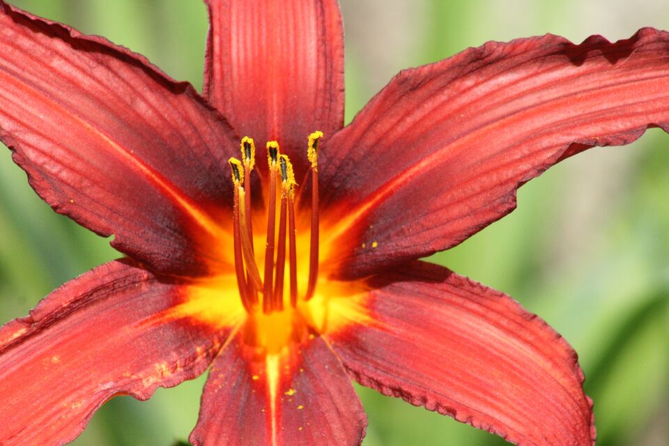 Retiro Park, Madrid, Spain, June 2024